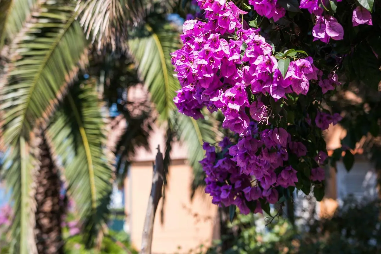 Apartments Pepi Mali Losinj